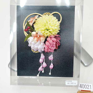  ԏ ԕ e { l 񂴂 l U  Ǝ  Viijc NO40021