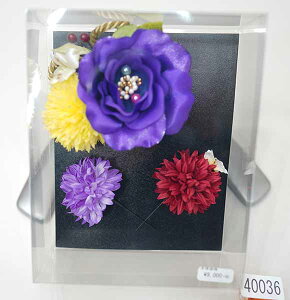  ԏ ԕ 3_Zbg n { l 񂴂 l U  Ǝ  Viijc NO40036