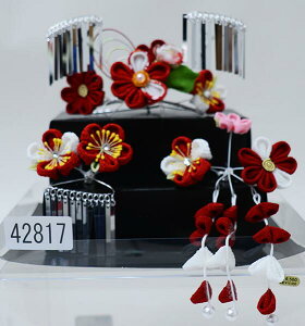 ܎O   7 7 񂴂 σZbg  ΐp p { ܂ݍ׍H rt   sN Viijc NO42817-1