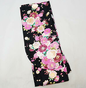 ڑ Pi dďオ SԐĕ ̓V[g @ n Ǝ Viijc NO36786-3