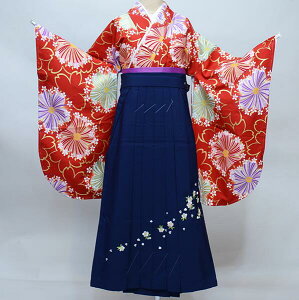 ڑ  уtZbg WjAp֒ 135cm`150cm From KYOTO ѕύX\ Ǝ Viijc NO38554-02