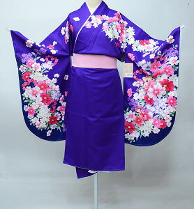 ڑ Pi dďオ From KYOTO ͒tՂV[g F @ Ǝ Viijc NO39566-3