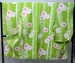 ڑ Pi dďオ SԐĕ ΐF ͒tՂV[g @ Ǝ  Viijc NO31706-4