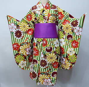 ڑ Pi dďオ  ͒tՂV[g @ Ǝ AC{[× Viijc NO29012-4