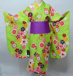 ڑ Pi dďオ  ͒tՂV[g ΐF Ǝ Viijc NO41392-03