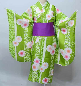 ڑ Pi dďオ  ͒tՂV[g F Ǝ Viijc NO41395-03