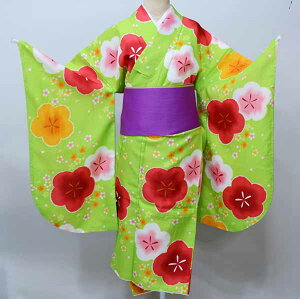 ڑ Pi dďオ  ͒tՂV[g ΐF ~ Ǝ Viijc NO41387-03