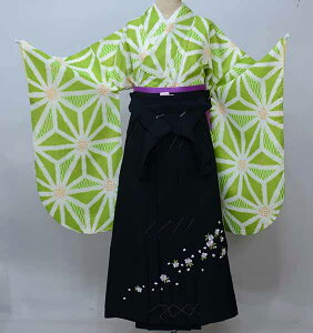ڑ  уtZbg WjAp֒ 135cm`150cm  F ̗t ѕύX\ Ǝ Viijc NO41382-02 NO29707