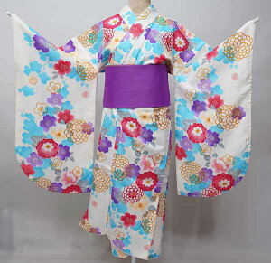 ڑ Pi dďオ 䕿 ͒tՂV[g F Ǝ Viijc NO41248-03