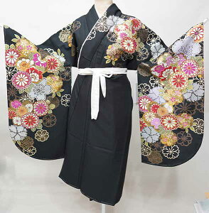 ڑ Pi dďオ From KYOTO ͒tՂV[g F Ǝ Viijc NO41459-03