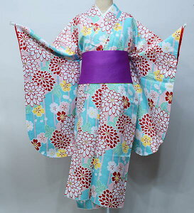 ڑ  Pi dďオ HEL 䕿 S㇗ ͒tՂV[g @ F Ǝ Viijc NO39934 NO25383