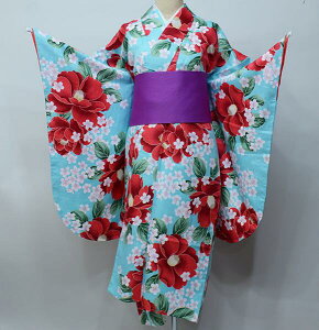 ڑ  Pi dďオ HEL 䕿 S㇗ ͒tՂV[g @ F Ǝ Viijc NO39944 NO22845