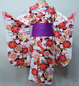 ڑ  Pi dďオ HEL 䕿 S㇗ ͒tՂV[g @ n Ǝ Viijc NO39885