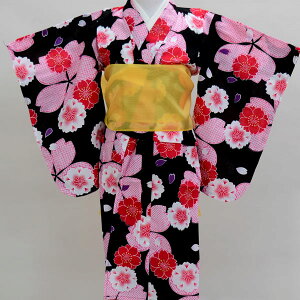 ߁EсE3_tZbg  ̎q qp 3ˁ`4 Oˁ`l 100cm Kg95cm`105cm Viijc NO17500