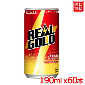 【2ケースセット】リアルゴールド 190ml缶 x60本 送料無料 【リアルゴールド】【メーカー直送】