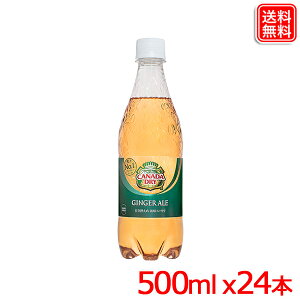 Ji_hC WW[G[ PET 500ml x24{  y[J[z