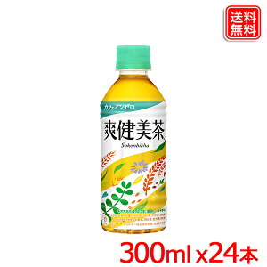 u PET 300ml x24{ 1P[X  y[J[z