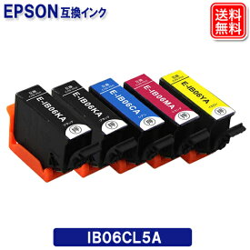 IB06CL5A エプソンインク IB06A 5色 メガネ 互換インク EPSON プリンター機種 PX-S5010R1 PX-S5010 PXS5010R1 PXS5010