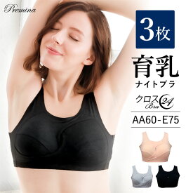 ナイトブラ ＼新規様＆リピーター様専用クーポン配布中！／ 育乳ナイトブラ ブラジャー 育乳 ノンワイヤーブラ 脇高 昼夜兼用 下着 スポーツブラ スポブラ 無地 痛くない 30代 40代 プレミーナ 『クロスブラ24・3枚組』 送料無料 おやすみブラ リラックス 補正