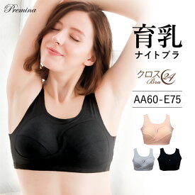 ナイトブラ ＼新規様＆リピーター様専用クーポン配布中！／ 育乳ナイトブラ ブラジャー 育乳ブラ ノンワイヤーブラ 脇高 昼夜兼用 下着 スポーツブラ スポブラ 無地 痛くない 30代 40代 プレミーナ 『クロスブラ24』 送料無料 夜用 ルームウェア 単品