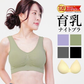 お買い物マラソン MAX50%OFFクーポン ナイトブラ 育乳ナイトブラ ブラジャー 育乳ブラ ノンワイヤーブラ 脇高 昼夜兼用 下着 スポーツブラ スポブラ 無地 痛くない 30代 40代プレミーナ 『ラクブラ24 プラス／Re:プラス 単品』 RP