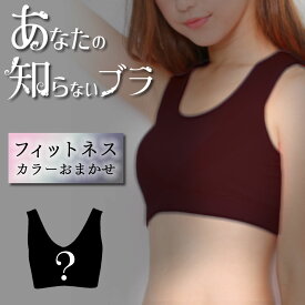 【何が届くかお楽しみ】 ナイトブラ 育乳 大きいサイズ ブラジャー ラクブラ スポーツブラ ノンワイヤー 『あなたの知らないブラ』 選べる3タイプ ブラ 下着 育乳