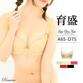 【500円OFFクーポン・17日9:59迄】 育乳ブラ 小胸 脇肉ブラ リフトアップ ブラ 「アゲブラ NEO」 ブラジャー 盛りブラ フロントホック 補正 安い 下着 インナー 大きいサイズ 補正ブラ レディース 贅沢 【[Bタイプ] 福袋 プレミーナ】
