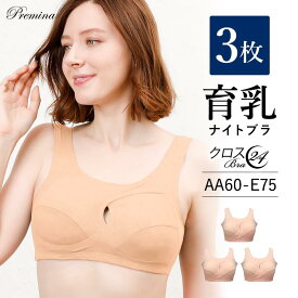 【500円OFFクーポン・17日9:59迄】 ナイトブラ 育乳ナイトブラ ブラジャー 育乳 ノンワイヤーブラ 脇高 昼夜兼用 下着 スポーツブラ スポブラ 無地 痛くない 30代 40代 プレミーナ 『クロスブラ24・3枚組』 送料無料 おやすみブラ リラックス 補正