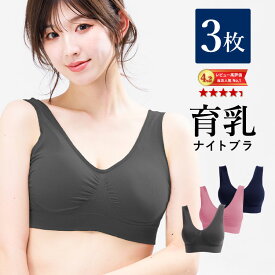 【1,000円OFFクーポン・17日9:59迄】 ナイトブラ 【3枚組】 育乳ナイトブラ ブラジャー 育乳ブラ ノンワイヤーブラ 脇高 昼夜兼用ブラ 下着 スポーツブラ スポブラ 無地 痛くない 20代 30代 40代 母の日 プレミーナ 『ラクブラ24 』 送料無料 RP