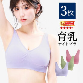 【1,000円OFFクーポン・17日9:59迄】 ナイトブラ 【3枚組】 育乳ナイトブラ ブラジャー 育乳ブラ ノンワイヤーブラ 脇高 昼夜兼用ブラ 下着 スポーツブラ スポブラ 無地 痛くない 20代 30代 40代 母の日 プレミーナ 『ラクブラ24 』 送料無料 RP