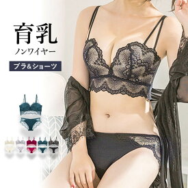 ノンワイヤー ブラ ショーツ セット 上下セット セットアップ ブラジャー 下着 インナー 脇高 セクシー ランジェリー 『カシュクールレースショートキャミブラ＆ショーツセット』 【B&S】【[Bタイプ] 福袋 プレミーナ】