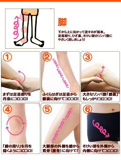 セルライトマッサージ器ローラー【送料無料】ボディ&フェイス用美容ローラー【ダイエット/セルライト/ケア/マッサージ器/ダイエット器具/むくみ/リンパ/セルライトケア/セルライト自宅/シェイプアップ/シェイプ/除去/bd】