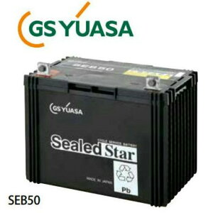 SEB50FW[GXEATiGSEYuasajobe[yԎwszyszyEEꕔnւ̔zsz