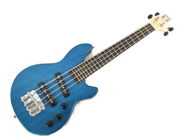 楽天市場】Seilen セイレン Mobile Mini Bass EMB-500 モバイル ミニ 