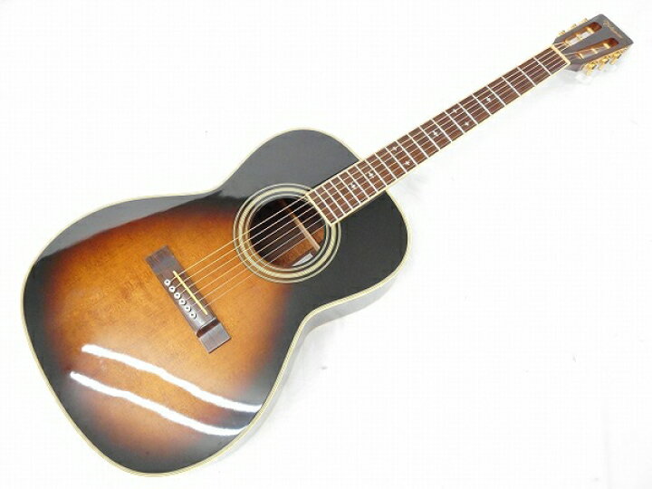 TAKAMINE TSN10 アコースティックギター - アコースティックギター