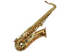 【中古】 【動作保証】YANAGISAWA T-WO2 テナーサックス ケース付き 管楽器 良好 N8756909