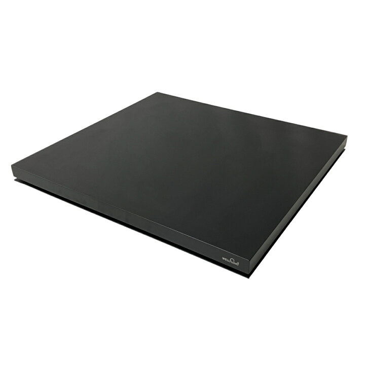 楽天市場】【中古】【動作保証】WELLFLOAT ウェルフロートボード 