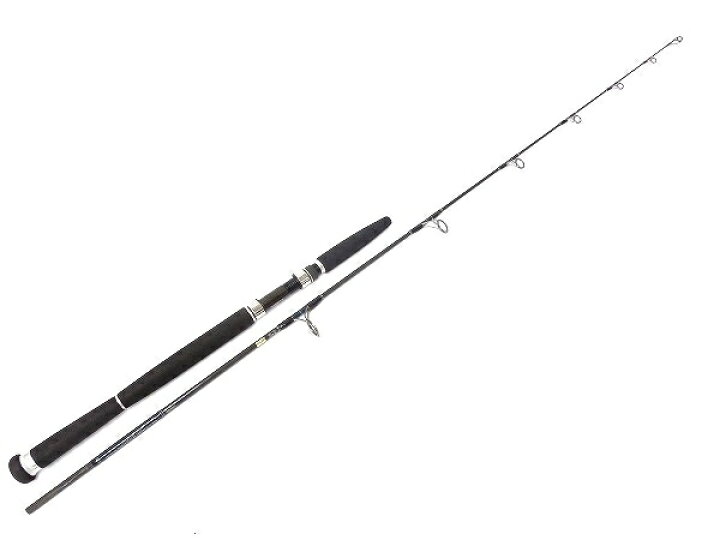 DAIWA ソルティガ コースタルSG HIRAMASA 63S 