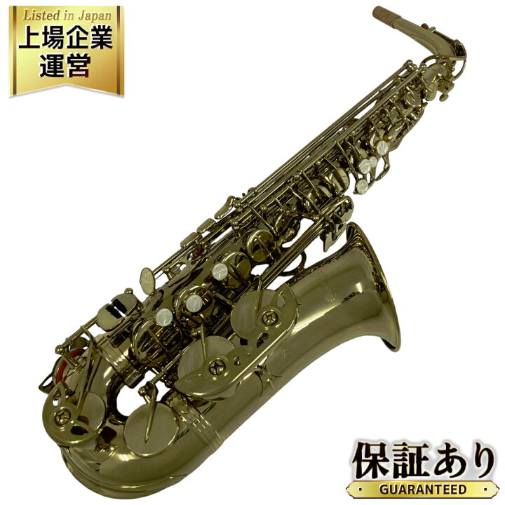 Kaerntner ケルントナー アルトサックス みん KAL-62 金管楽器