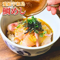 鯛茶漬け 宇和島の鯛めし 新鮮 お中元 海鮮 父の日 母の日 お歳暮 安岡蒲鉾 お取り寄せ グルメ お中元 楽…