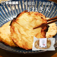 玉ねぎ天 3枚入｜お中元 安岡蒲鉾 ギフト 愛媛 宇和島土産 蒲鉾 お取り寄せ 蒲鉾 愛媛の味 宇和島の味 玉…