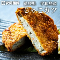 じゃこカツ3枚入｜お中元 安岡蒲鉾 お取り寄せ グルメ 練り物 海鮮 ギフト 四国 愛媛 宇和島土産 じゃこ…