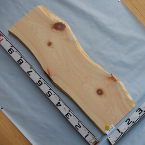O ꖇ t 2410 100cm 26cm-27cm 3.1cm ؍  VR C Oyzʏ폤i