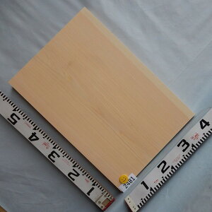 _I O 2481 58cm 39.8cm 3.7cm ܂Ȕ I  O ؍  ʏ폤i