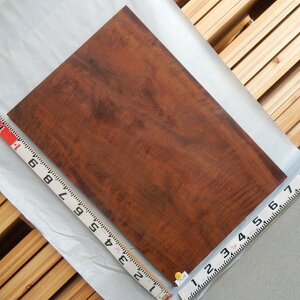 g^u ꖇ t 2434 111cm 74cm 2.9cm ÖƁEJtFpe[u Vyzʏ폤i