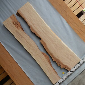 g` ꖇ 2Zbg 2553 144cm 27`28cm/26`16cm 5.5cm We[u ؍  VR C Iyz^i