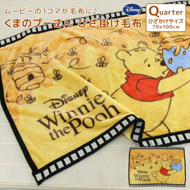 ひざ掛け毛布 毛布 ディズニー くまのプーさん あったか毛布 ベビーケット スローケット ひざかけ 子供用毛布 お昼寝ケット ブランケット もうふ 洗える 子供 赤ちゃん シンプル おしゃれ かわいい 映画 フィルム Disney 【送料無料】