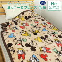 毛布 ディズニー ミッキー＆フレンズ ハーフサイズ 100×140cm ハーフケット ブランケット ジュニアケット ジュニア毛布 ミニー ドナルド デイジー グーフィー もうふ あったか 洗える キッズ 子供用 おしゃれ かわいい カジュアル ナチュラル ポップ Disney Mickey 送料無料