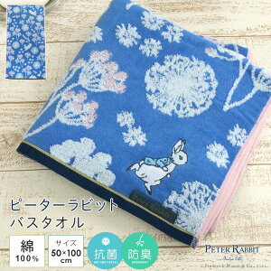 s[^[rbg oX^I 50×100cm 100 炩 X|[c^I QPbg v[ XC~O C Cオ オ 蕨 ^IMtg v[g oYj k i`