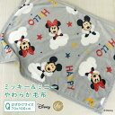 ひざ掛け毛布 毛布 ディズニー ミッキー ミニー あったか ブランケット ベビーケット スローケット ひざかけ 子供用毛布 お昼寝ケット 昭和西川 70×100cm もうふ 洗える ベビー キッズ 赤ちゃん おしゃれ かわいい ナチュラル 北欧 Disney Mickey Minnie 【送料無料】